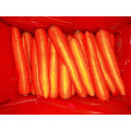 Fresh Carrot Organic Carrot Cheapest Price